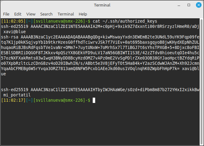 Visualització de les SSH keys amb cat